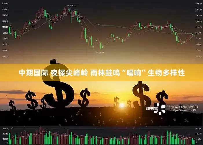 中期国际 夜探尖峰岭 雨林蛙鸣“唱响”生物多样性