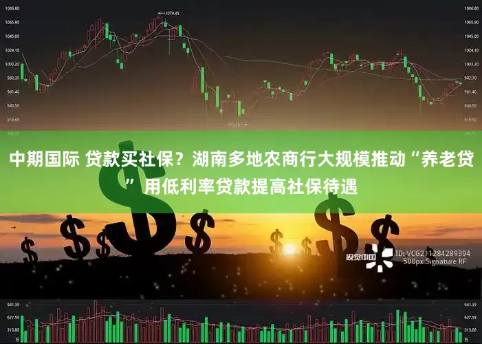 中期国际 贷款买社保？湖南多地农商行大规模推动“养老贷” 用低利率贷款提高社保待遇