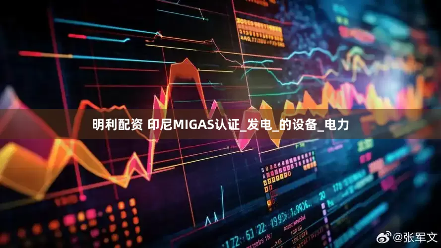 明利配资 印尼MIGAS认证_发电_的设备_电力